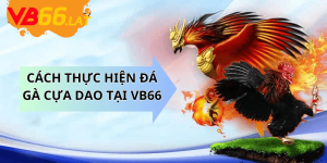 Cách thực hiện Đá Gà Cựa Dao Tại VB66